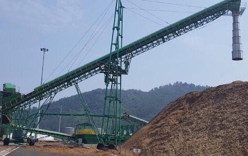 Tập kết xuất hàng tại cảng Chân Mây.