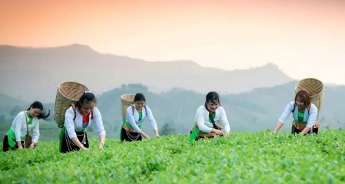 Tổng doanh thu từ dịch vụ du lịch trong 5 ngày nghỉ lễ ước đạt khoảng 370 tỷ đồng.