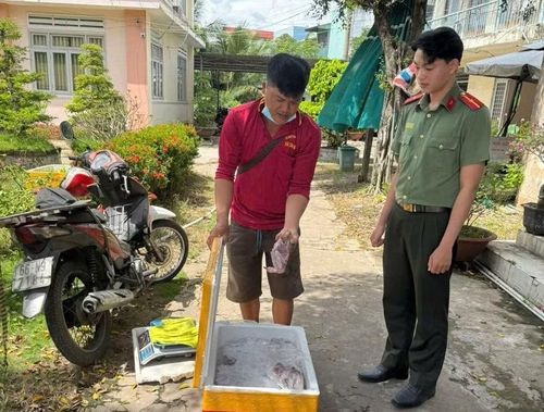 Lực lượng Công an phát hiện, xử lý vụ mua bán 56 cá thể chim hoang dã tại xã Tân Long.