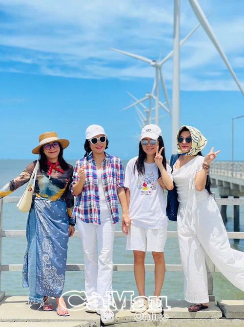 Du khách lưu giữ những khoảnh khắc đẹp với cánh đồng điện gió Hoà Bình 1.