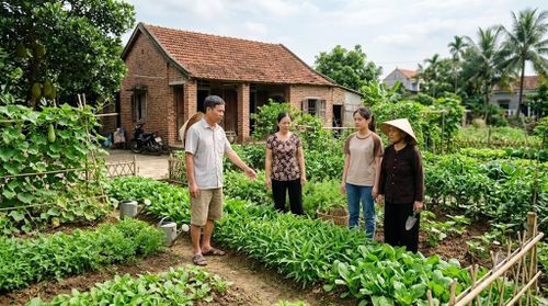 Khi ông bà mất không để lại di chúc, mảnh đất (di sản) sẽ được chia theo pháp luật (Điều 650 Bộ luật Dân sự 2015). Ảnh minh họa.