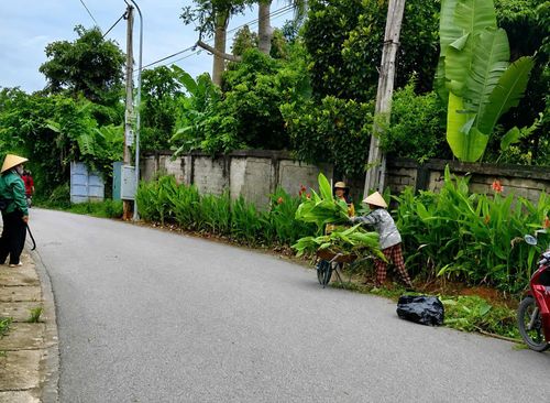 Người dân thôn Bài, xã Yên Bài vệ sinh đường làng ngõ xóm đón Quốc Khánh 2-9. Ảnh: Minh Sen