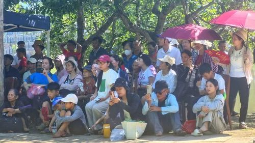 Khán giả chăm chú theo dõi tiết mục múa sư tử mèo.