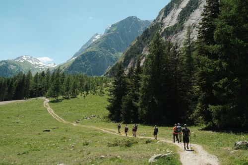  Chuyến đi bộ ngang qua dãy Alps của hãng luật Quinn Emanuel nhằm gắn kết nhân viên. Ảnh minh hoạ: Scott Barber/Pexels.