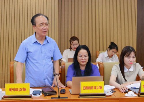 Lãnh đạo các xã, hiệp hội du lịch tỉnh phát biểu tại hội nghị