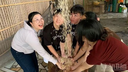 Du khách trải nghiệm nghề làm cốm. (Ảnh: THANH TÂM)