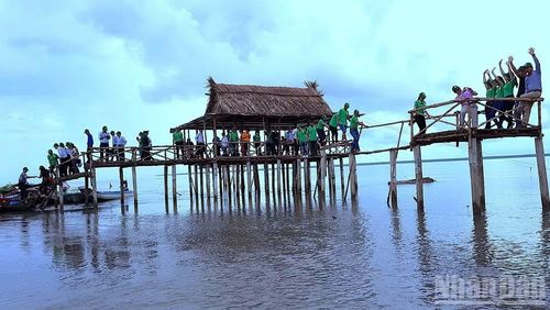 Khách tham quan trải nghiệm du lịch xuyên rừng Vườn Quốc gia Mũi Cà Mau. (Ảnh: HỮU TÙNG)