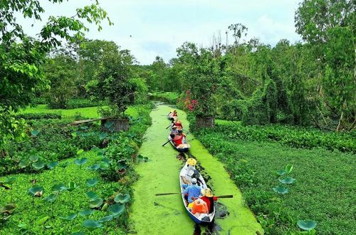 Khu du lịch sinh thái rừng tràm Trà Sư (xã An Cư, tỉnh An Giang).