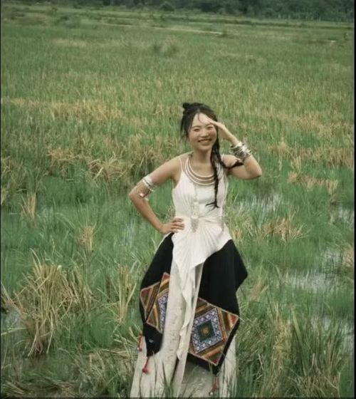 Chi tiết lấy cảm hứng từ khăn Piêu trên trang phục của Phương Mỹ Chi gây tranh cãi.