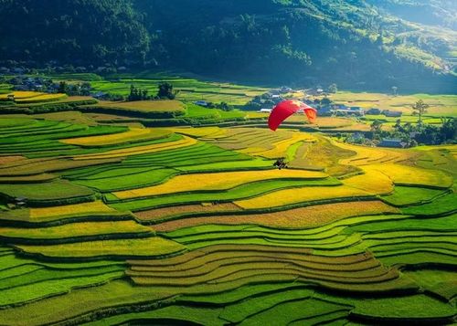 Hoạt động dù lượn "Bay trên mùa vàng" tại xã Tú Lệ.