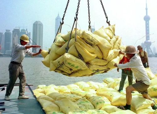 Vận chuyển phân bón tại cảng biển ở TP Thượng Hải, Trung Quốc (Ảnh: Forbes)
