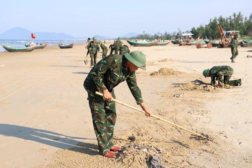 Trước tình trạng này, địa phương đã phối hợp với các lực lượng chức năng, các thôn và người dân tổ chức thu gom, xử lý ngao chết và vỏ ngao, nhằm hạn chế mùi hôi, bảo đảm vệ sinh môi trường. Địa phương cũng đang tiếp tục theo dõi tình trạng ngao dạt vào bờ, đồng thời phối hợp với các cơ quan liên quan để kiểm tra, xác định nguyên nhân.