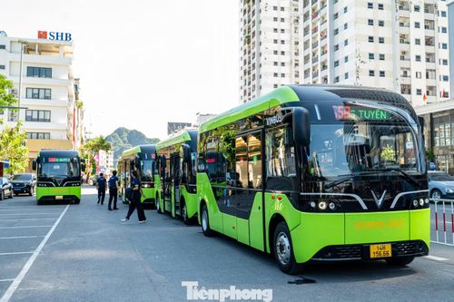 Theo đại diện Vinbus, có 50 xe buýt được đưa vào phục vụ. Đã có gần 2.000 học sinh tại 22 cơ sở giáo dục trên địa bàn 3 phường đăng ký sử dụng dịch vụ xe bus điện miễn phí 100% theo chương trình đưa đón của Thành phố đã được HĐND TP Quảng Ninh (trước là tỉnh Quảng Ninh) khóa XV thông qua ngày 25/8/2026, tại Kỳ họp thứ 7.