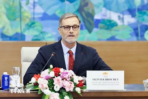 Đại sứ đặc mệnh toàn quyền Cộng hòa Pháp tại Việt Nam Olivier Brochet phát biểu. (Ảnh: Doãn Tấn/TTXVN)