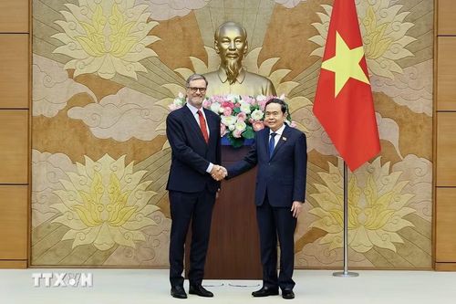 Chủ tịch Quốc hội Trần Thanh Mẫn tiếp Đại sứ đặc mệnh toàn quyền Cộng hòa Pháp tại Việt Nam Olivier Brochet. (Ảnh: Doãn Tấn/TTXVN)