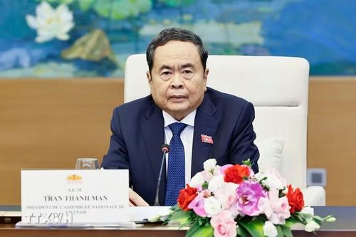 Chủ tịch Quốc hội Trần Thanh Mẫn phát biểu. (Ảnh: Doãn Tấn/TTXVN)