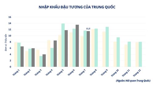 Nhập khẩu đậu tương của Trung Quốc.