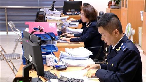 Hoạt động nghiệp vụ tại Chi cục Hải quan khu vực III. Ảnh: Mạnh Tú/TTXVN