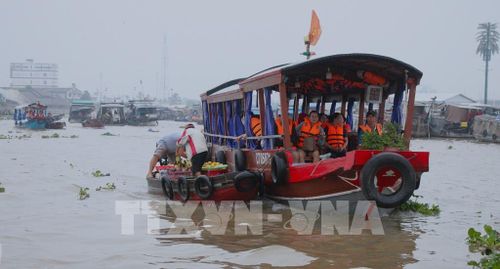 Sự kết hợp hài hòa giữa các sản phẩm du lịch sông nước với mô hình du lịch xanh thu hút du khách đến Cần Thơ. Ảnh: Nguyễn Hằng - TTXVN