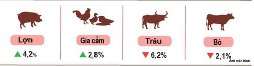 Tốc độ tăng, giảm số lượng gia súc, gia cầm cuối tháng 8/2026 so với cùng thời điểm năm trước.