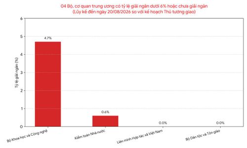 Nguồn: Báo cáo Bộ Tài chính