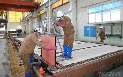 Kết quả thu ngân sách 8 tháng tạo cơ sở để Lào Cai tiếp tục phấn đấu hoàn thành mục tiêu thu ngân sách cả năm 2026.