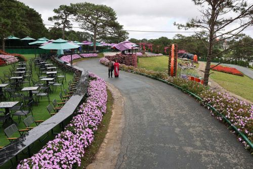 Nhiều không gian hoa mới, đẹp được đầu tư trang hoàng, thu hút du khách tại khu vực Trung tâm Đà Lạt
