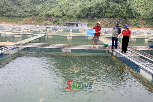 Nông dân xã Mường La đầu tư lồng nuôi cá khung thép đảm bảo an toàn trong sản xuất.
