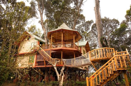 Một căn nhà trong Măng Đen Treehouse.