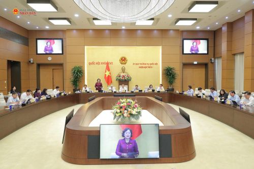 Phó Chủ tịch Quốc hội Nguyễn Thị Hồng điều hành phiên họp