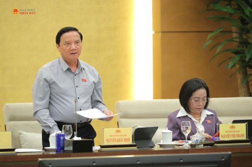 Phó Chủ tịch Quốc hội Nguyễn Khắc Định phát biểu
