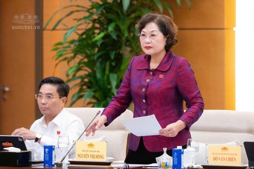 Phó Chủ tịch Quốc hội Nguyễn Thị Hồng phát biểu tại phiên họp.