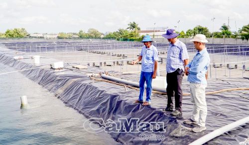 Khu nuôi tôm siêu thâm canh của ông Trần Văn Mộng được đầu tư bài bản nhằm giảm tác động của các loại hình thời tiết, đảm bảo năng suất.