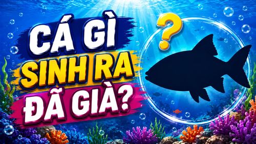 Đáp án sẽ trở nên đơn giản hơn khi người chơi tìm đúng hướng suy luận. (Ảnh: AI)
