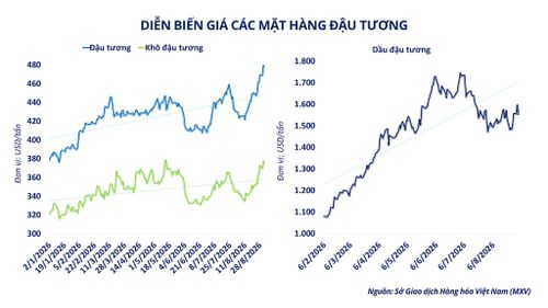 Diễn biến giá các mặt hàng đậu tương. Nguồn: MXV