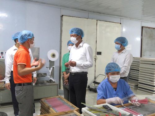 Lãnh đạo địa phương tham quan một mô hình sản xuất sản phẩm OCOP. Ảnh: PV