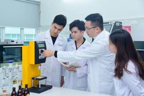 Bộ GD-ĐT dự kiến bỏ kiểm định đồng loạt các chương trình đào tạo đại học.