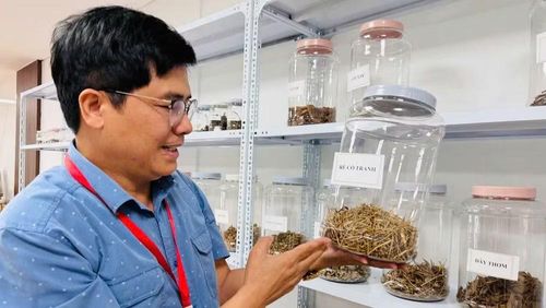 Nhiều loại dược liệu đang được nghiên cứu tại Viện Đông y Việt Nam. (Ảnh: HOÀNG MAI)