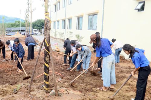 Các lực lượng quân đội, đoàn thanh niên cũng được huy động