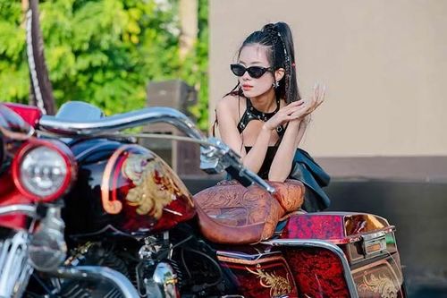 Bên cạnh đó, xe còn sở hữu nhiều trang bị hiện đại như hệ thống chống bó cứng phanh ABS, ga tự động Electronic Cruise Control, kính chắn gió cỡ lớn cùng bộ thùng hông bọc da đặc trưng. Điểm nhấn đáng chú ý là cả hai chiếc Harley-Davidson đều được sơn airbrush cầu kỳ với nhiều chi tiết tinh xảo.
