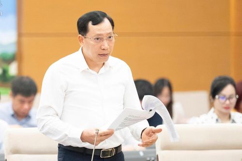 Thượng tướng Lê Văn Tuyến, Thứ trưởng Bộ Công an trình bày tờ trình. Ảnh: QH