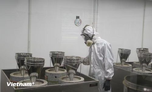 Chế biến Matcha từ nguyên liệu chè địa phương tại HTX Lạc Yên Trà, xã La Bằng. (Nguồn: Vietnam+)