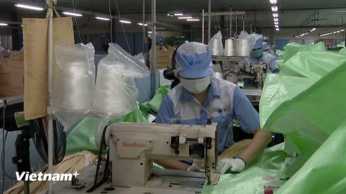 Sản xuất bao bì tại Công ty TNHH KMV Việt Nam, Khu Công nghiệp Bình Xuyên, Xã Bình Nguyên, Tỉnh Phú Thọ. (Ảnh: Nguyễn Thảo/Vietnam+)