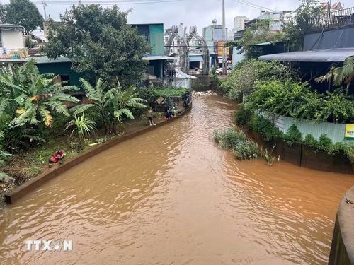 Nhiều nhà cửa của người dân trên địa bàn phường Pleiku, tỉnh Gia Lai ngập sâu trong nước. (Ảnh: Hoài Nam/TTXVN)