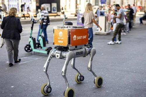 Robot của Rivr thử nghiệm giao đồ ăn trên đường phố ở Zurich. Ảnh: TTXVN phát