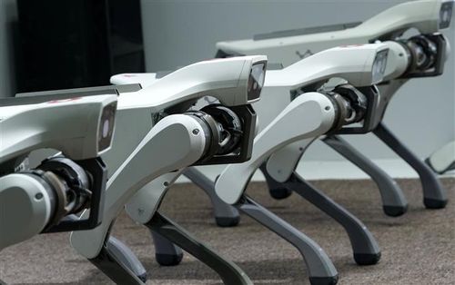 Chó robot được giới thiệu tại Hội nghị Robot Thế giới 2026 ở Bắc Kinh, Trung Quốc, ngày 19/8/2026. Ảnh: THX/TTXVN phát