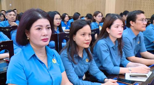 Các đại biểu dự lễ phát động.
