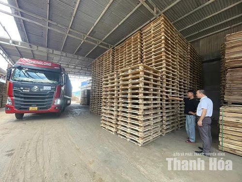 Sản phẩm keo sau chế biến tại Công ty Cổ phần Đầu tư sản xuất và thương mại LHD, xã Xuân Bình.