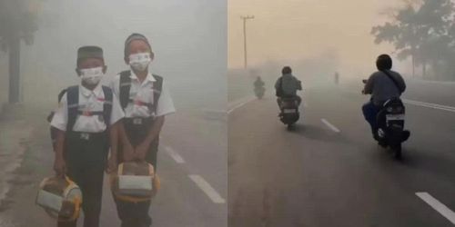 Malaysia đóng cửa trường học cuối tháng 8 vừa qua do khói mù từ cháy rừng xuyên biên giới. Ảnh: JD/Instagram.com/@undercover.id