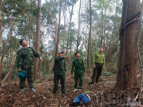 Kiểm lâm Nậm Pồ phối hợp với các lực lượng chức năng kiểm tra, rà soát tình hình rừng, kịp thời phát hiện nguy cơ xâm hại rừng trên địa bàn.